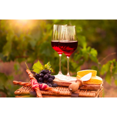 Exploring the World of Wine – A Journey Through Regions, Varietals, and Pairings